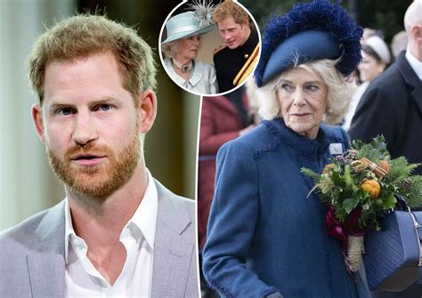 camilla leaks|Prince Harry accuses Camilla of leaks to media